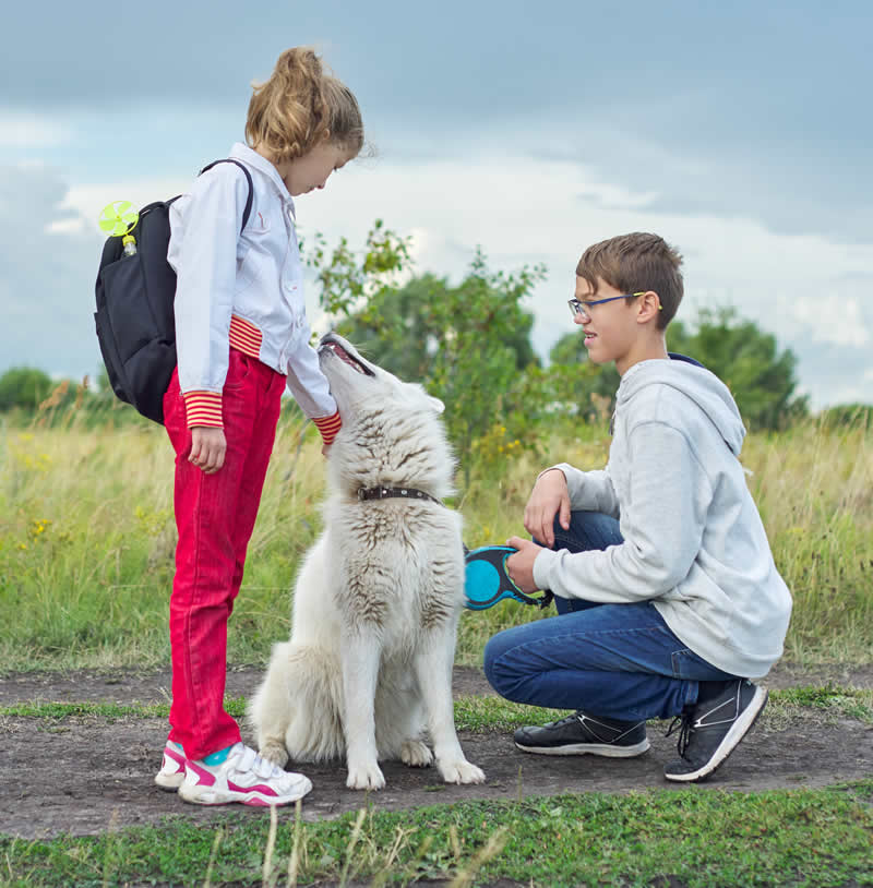 Cómo lograr una correcta vinculación entre niños y perros